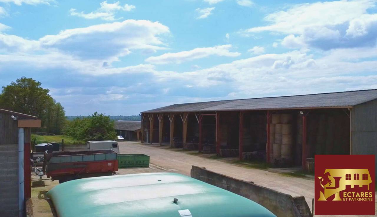 Equestrian property  Ain