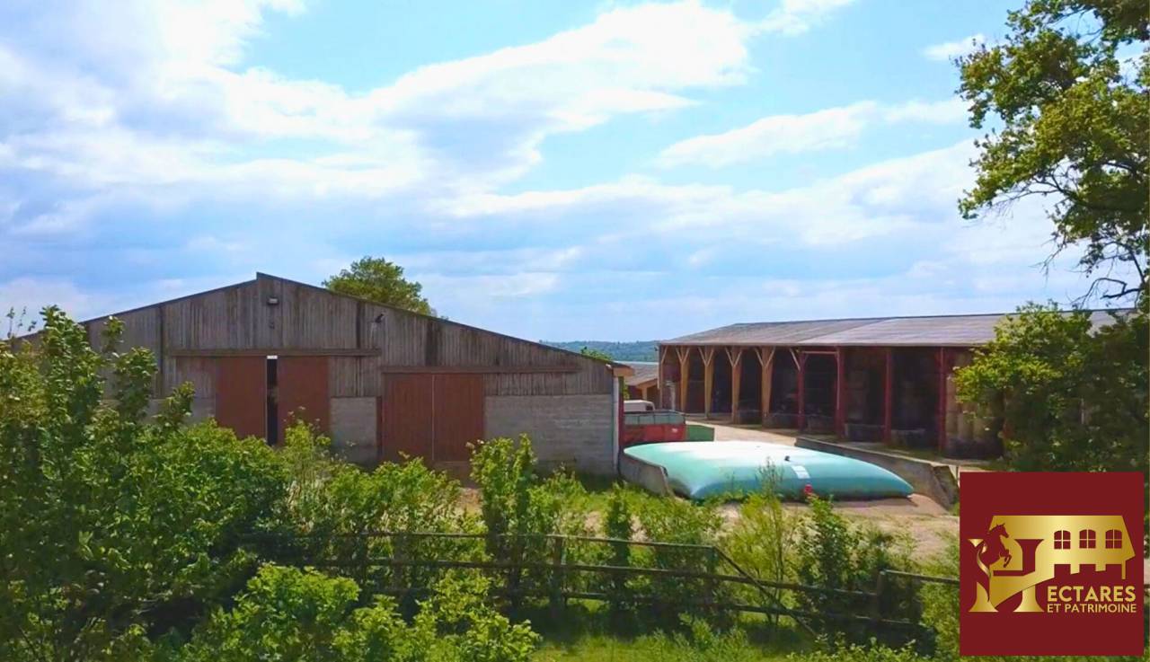 Equestrian property  Ain