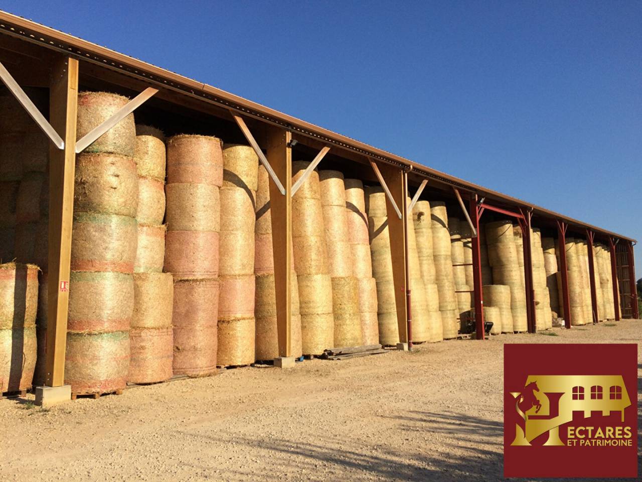 Equestrian property  Ain