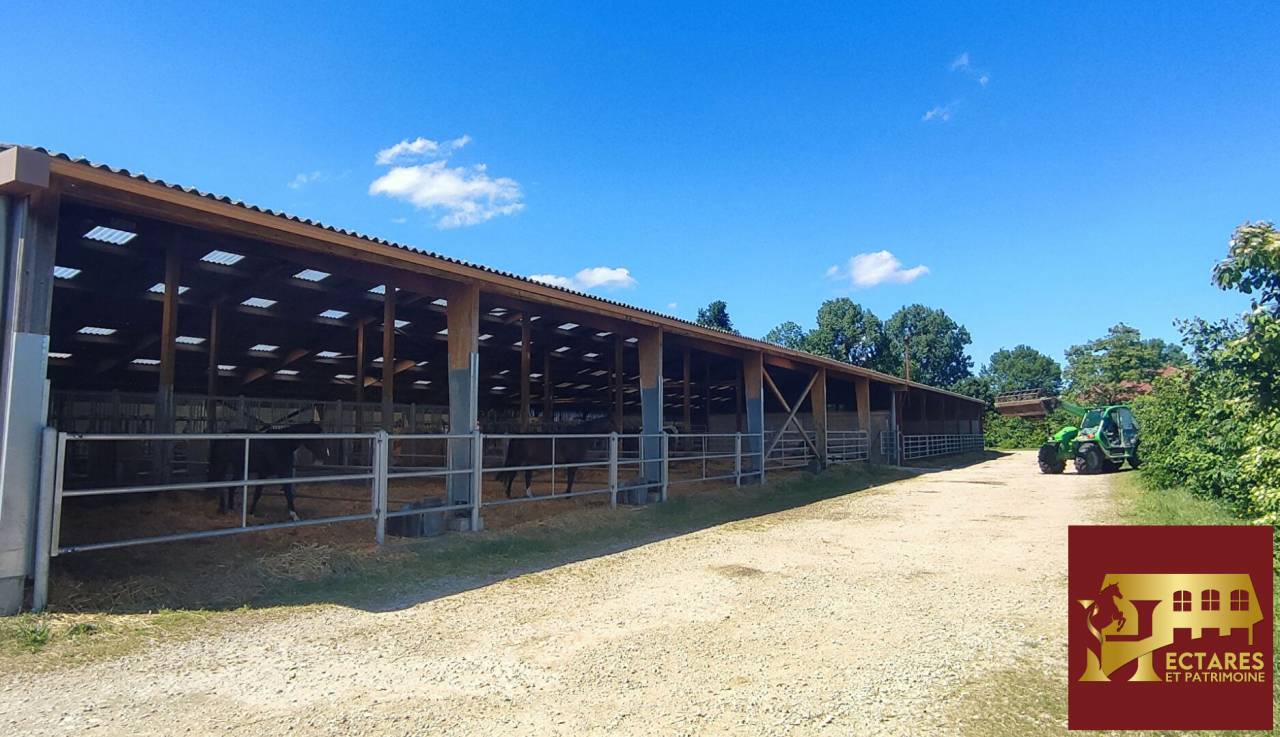 Equestrian property  Ain