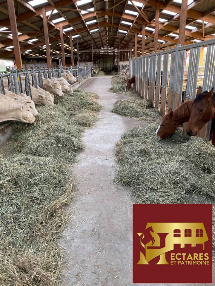 Equestrian property  Ain