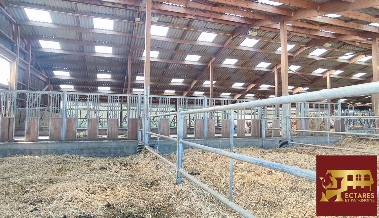 Equestrian property  Ain