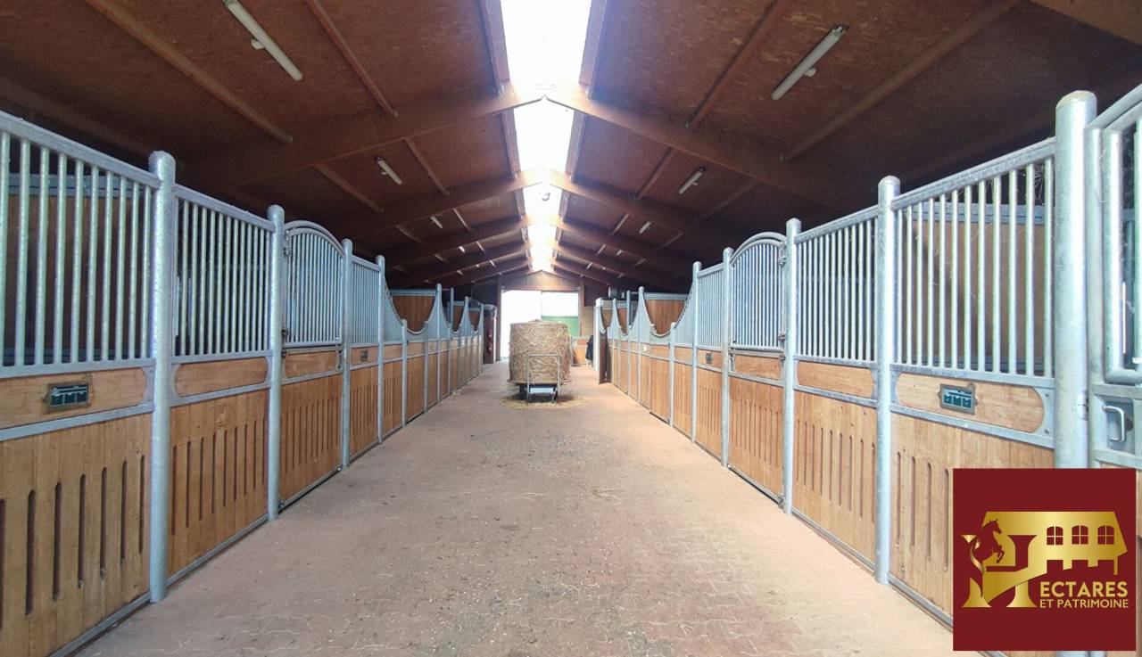 Equestrian property  Ain