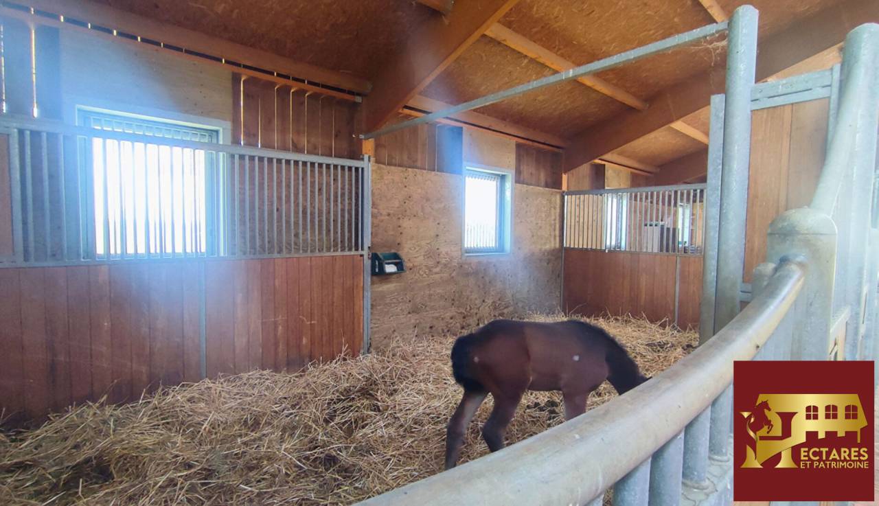 Equestrian property  Ain