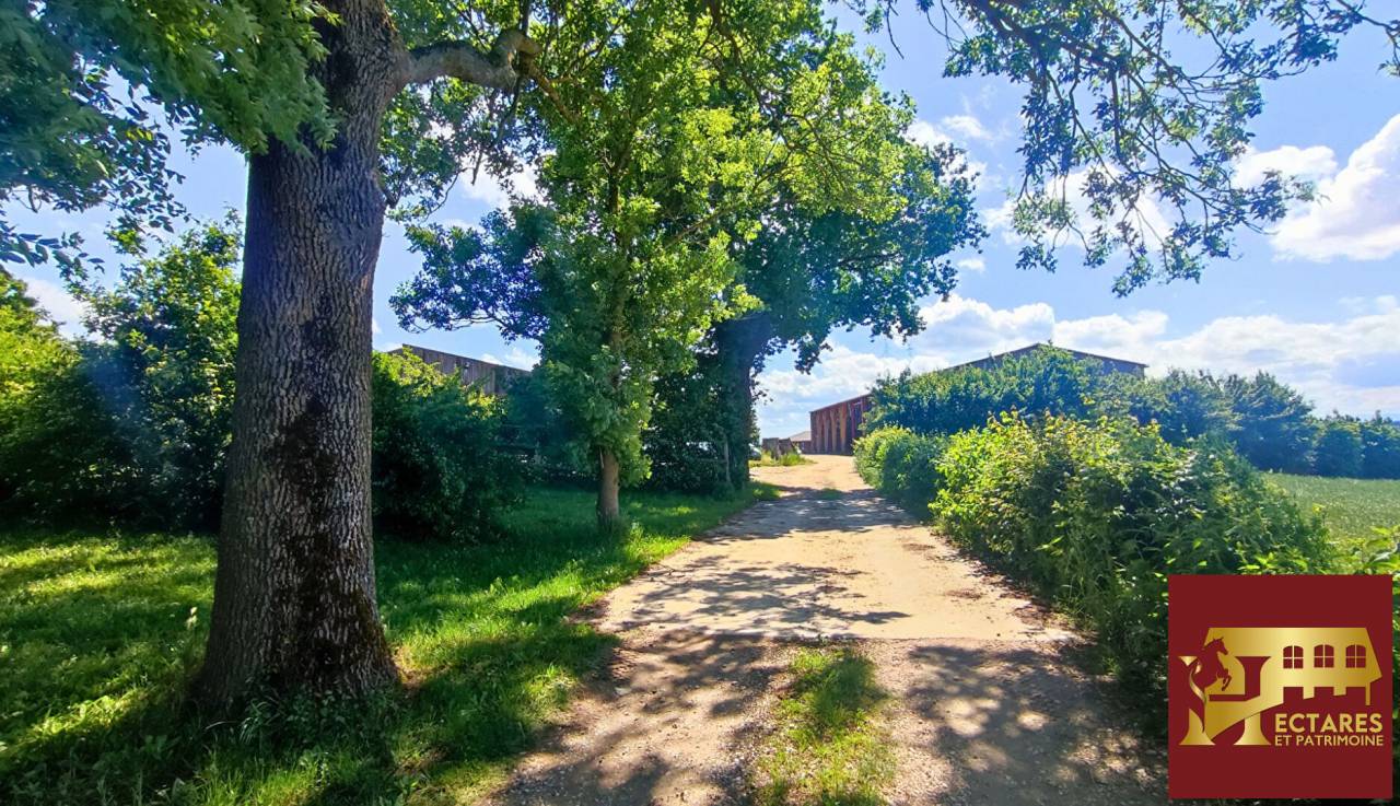 Equestrian property  Ain