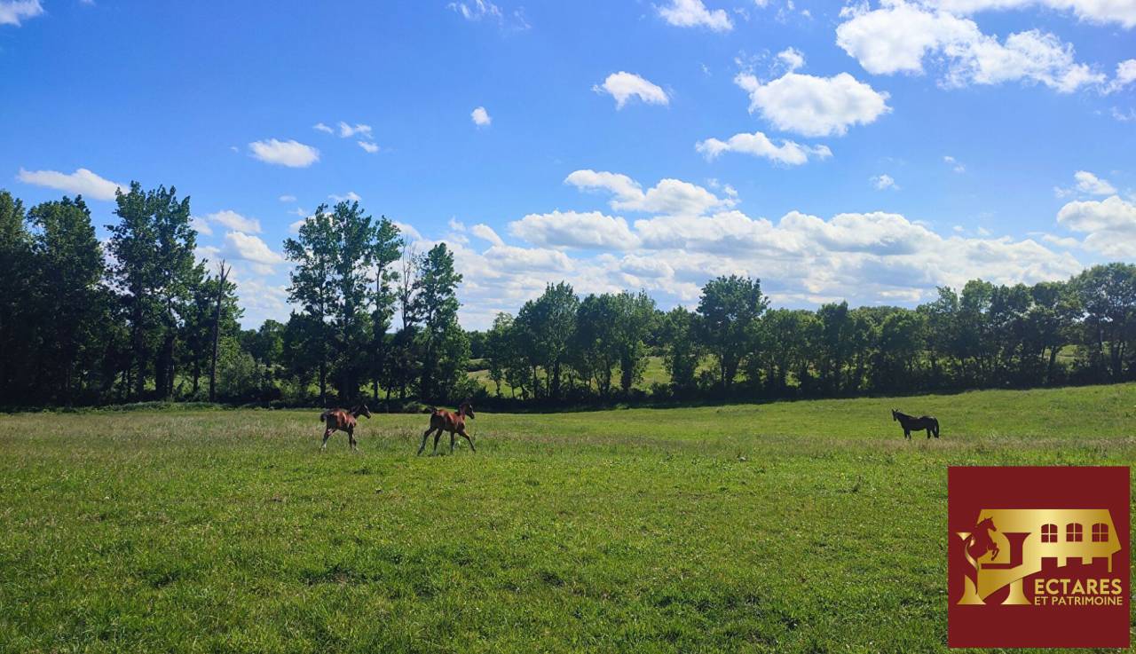 Equestrian property  Ain