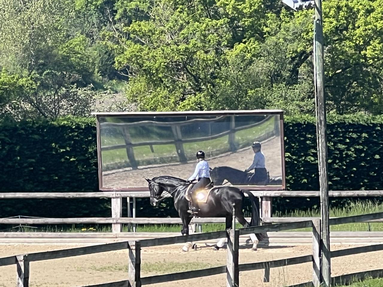 Groom, Rider - Permanent contract Contract - Loire France
