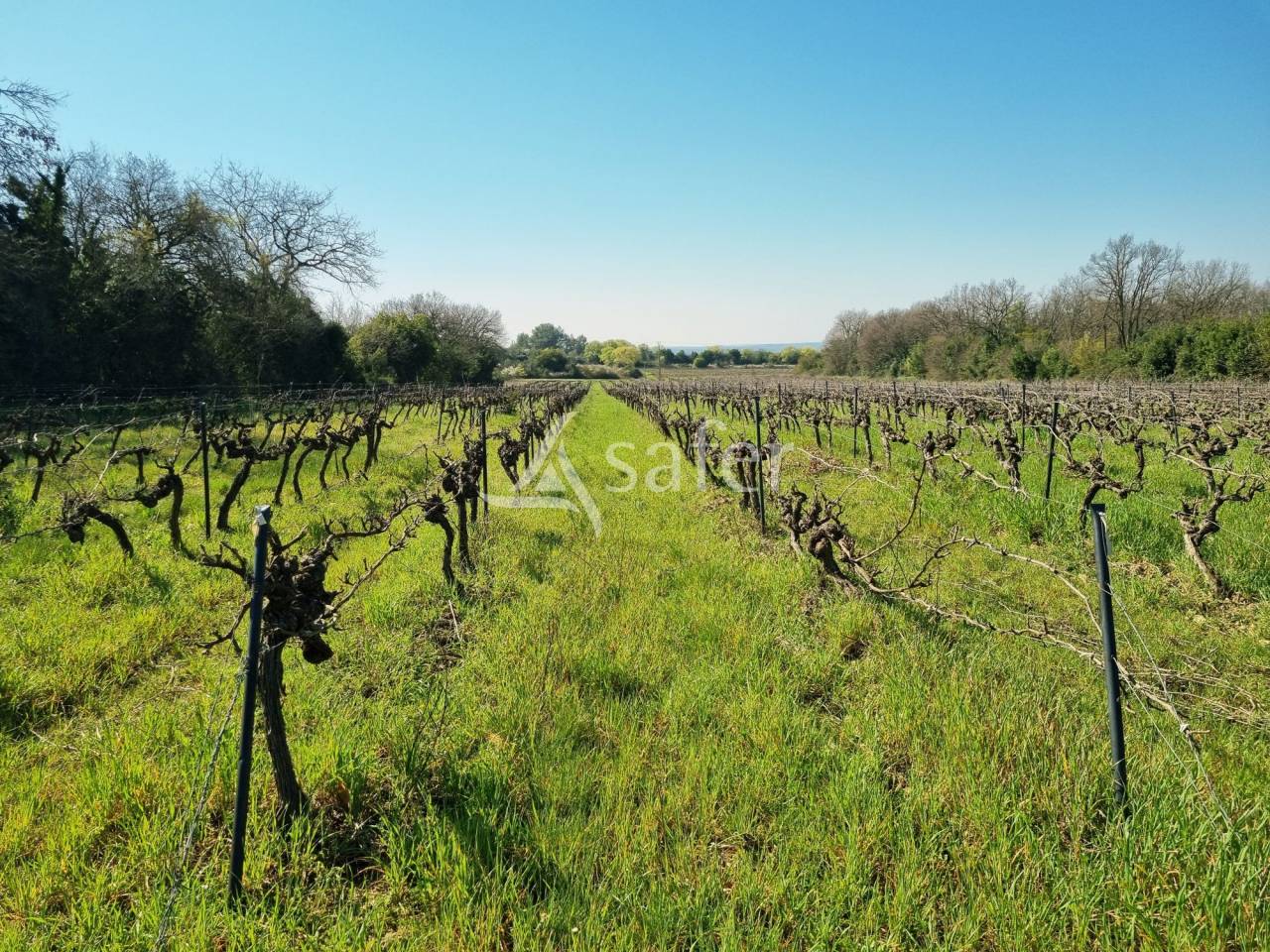 Other country property  Gard