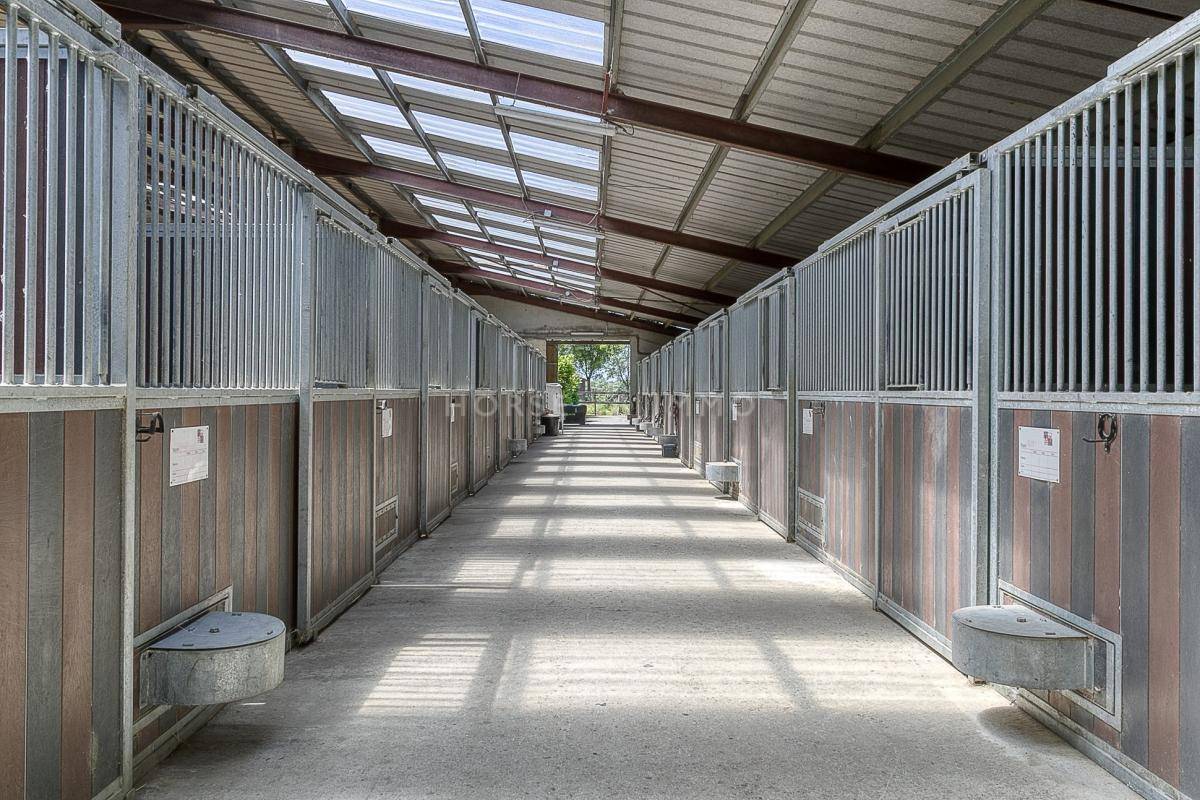 Equestrian property  Hautes-Pyr&eacute;n&eacute;es