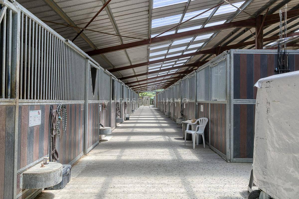Equestrian property  Hautes-Pyr&eacute;n&eacute;es