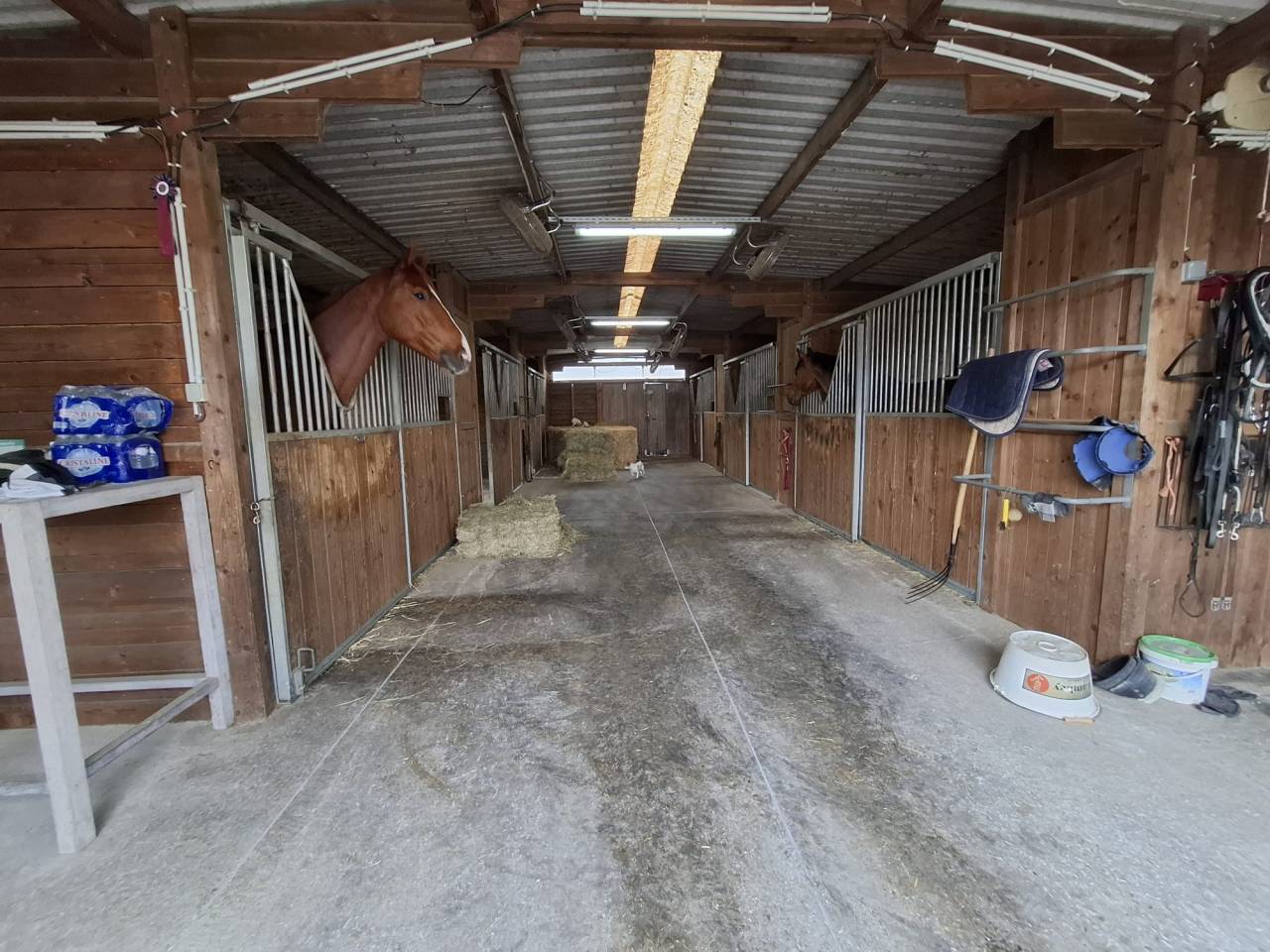 Livery yard  Indre-et-Loire