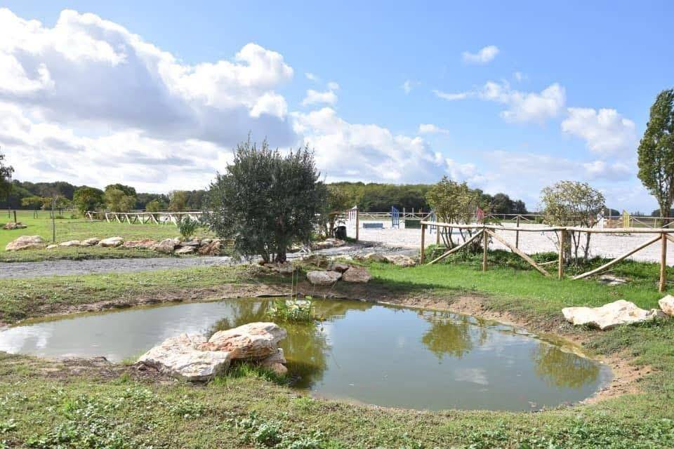 Livery yard  Indre-et-Loire