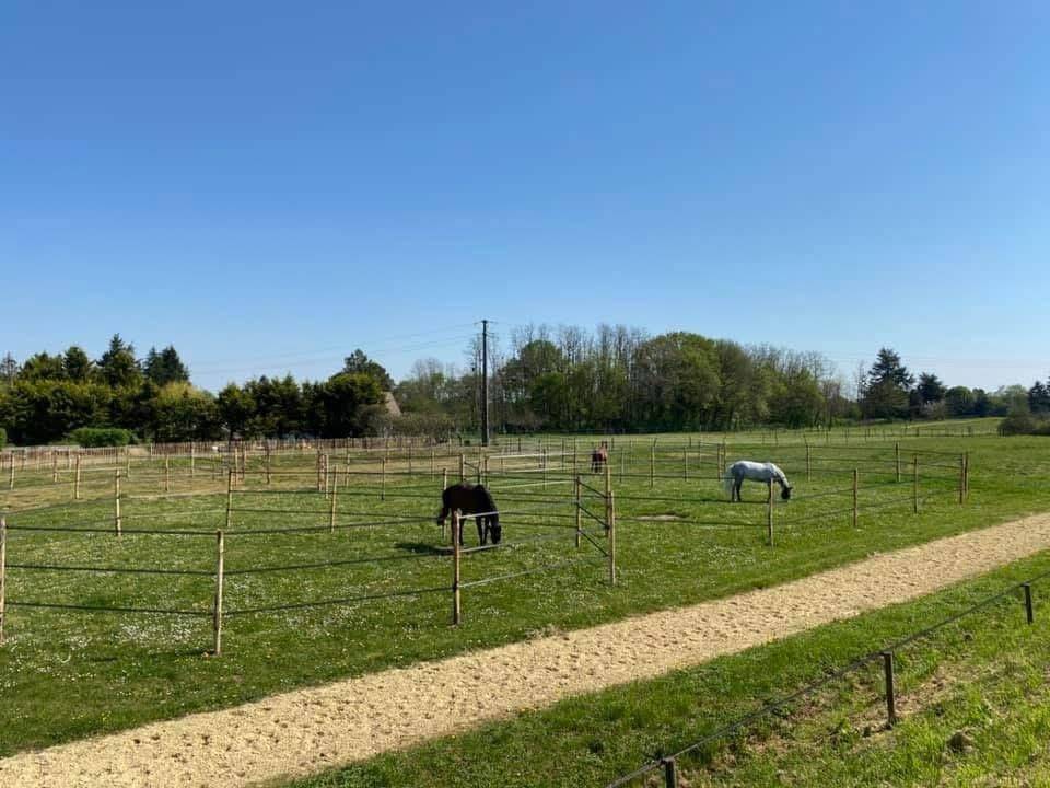 Livery yard  Indre-et-Loire