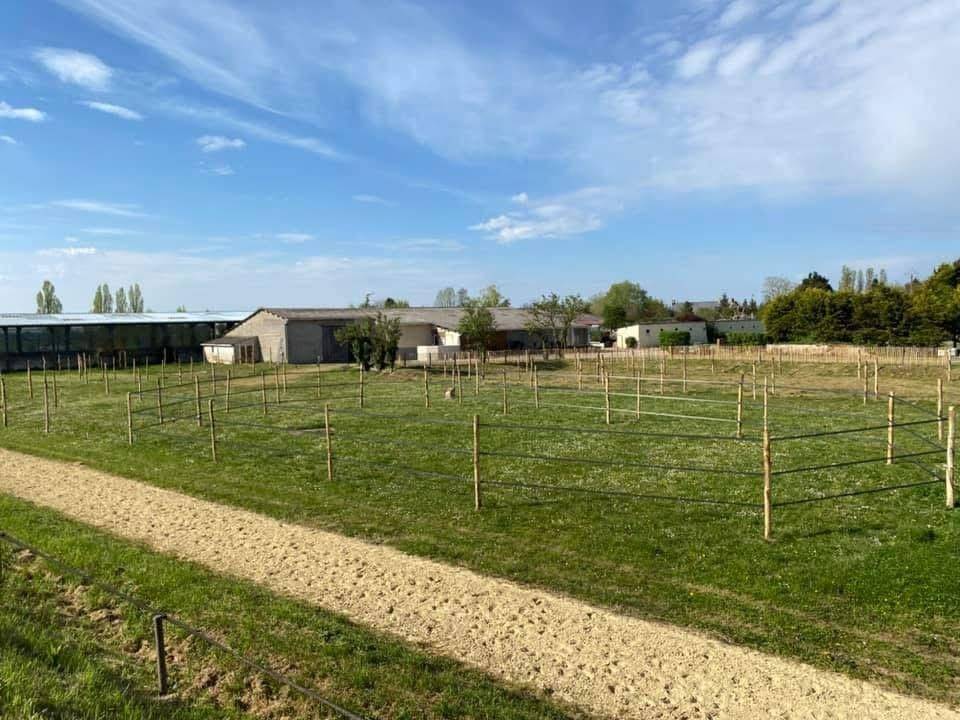 Livery yard  Indre-et-Loire