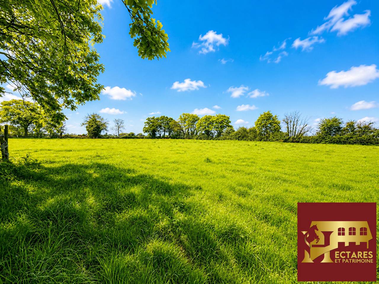 Equestrian property  Loire-Atlantique