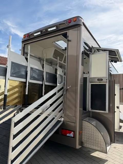 Horsebox NON-HGV Man MAN 0 Used