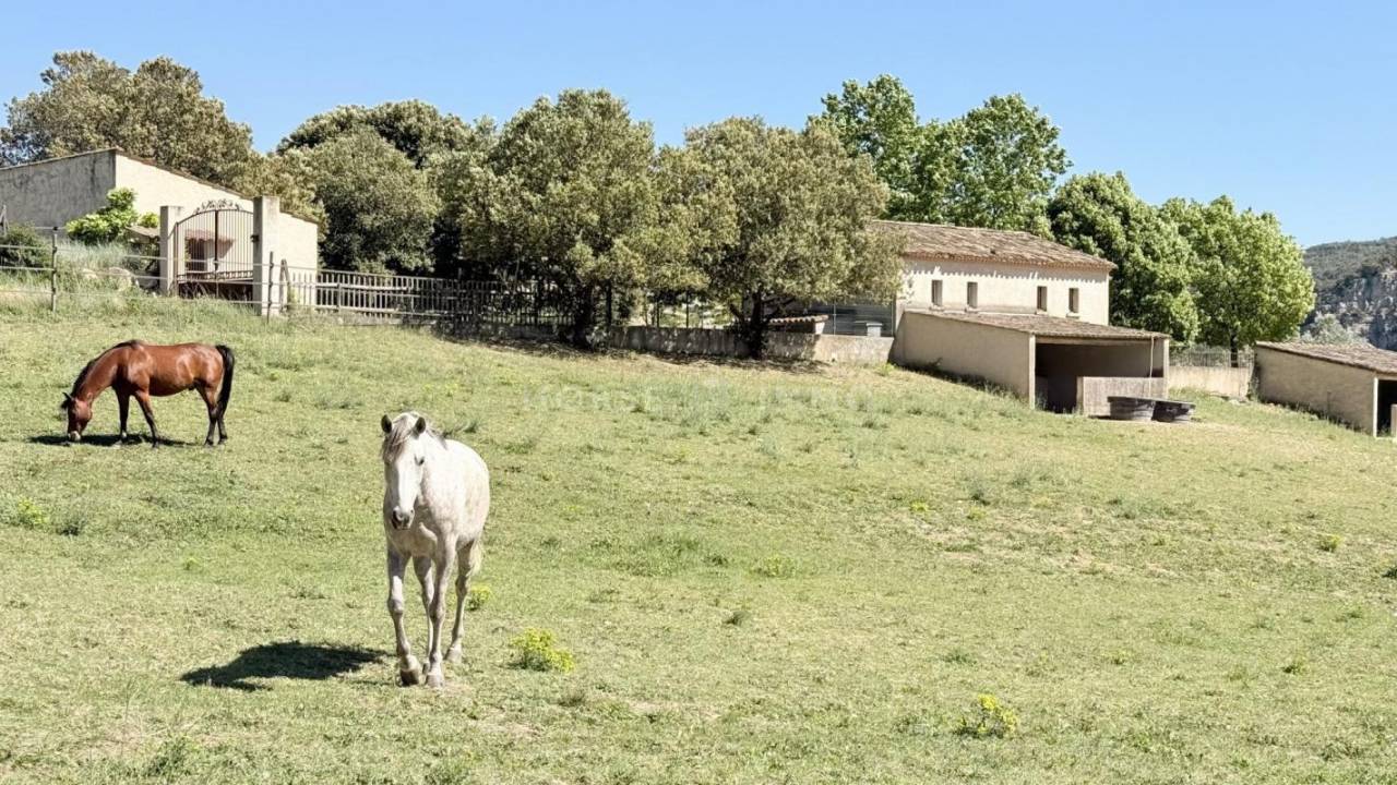 Equestrian property  Alpes-de-Haute-Provence