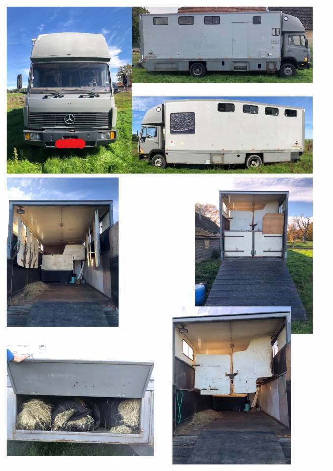 Horsebox NON-HGV Mercedes Daimler 1320 1987 Used