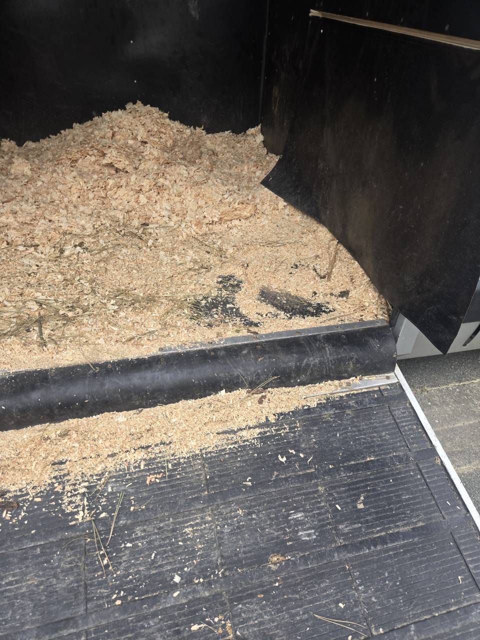 Horsebox HGV Renault Master 2014 Used