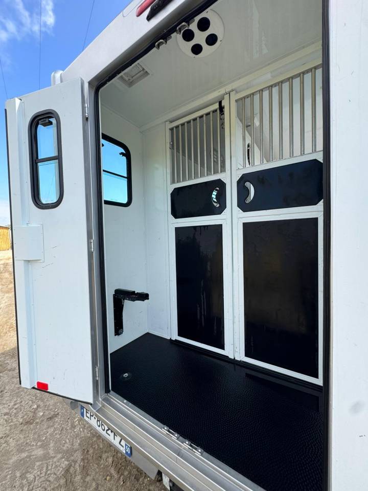 Horsebox HGV Renault Master  2017 Used