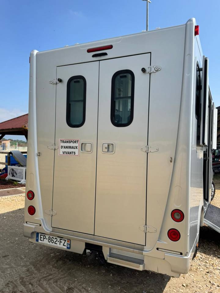 Horsebox HGV Renault Master  2017 Used