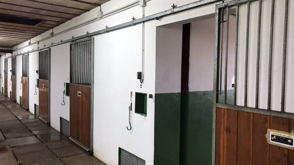 Stud farm  Sa&ocirc;ne-et-Loire