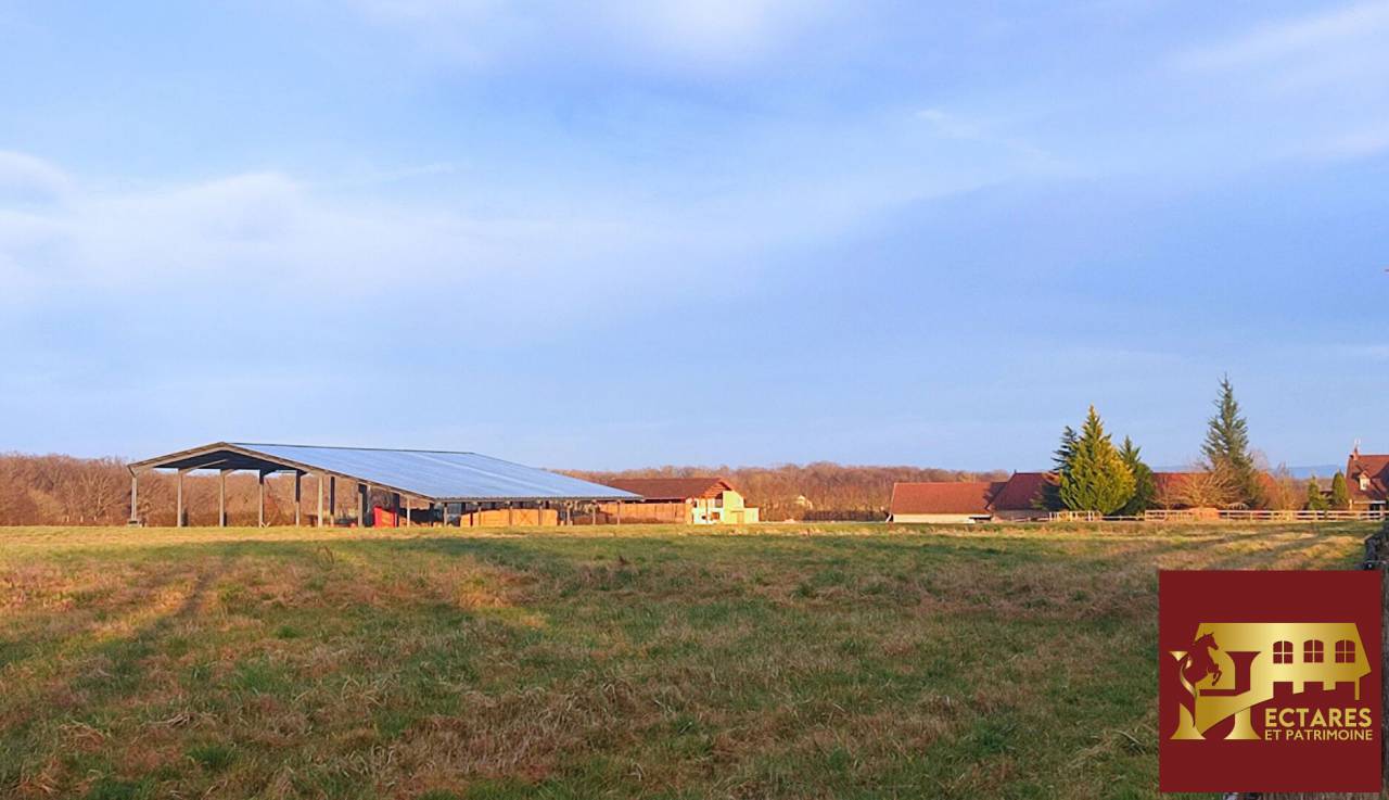 Stud farm  Sa&ocirc;ne-et-Loire