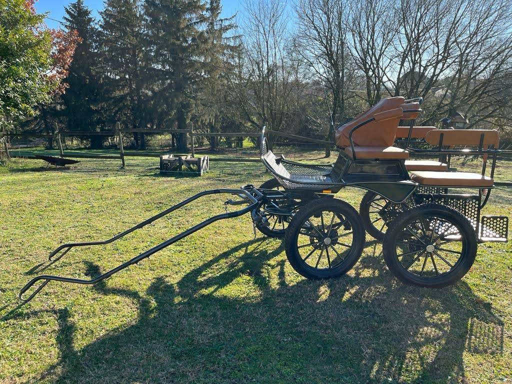 Carriage - Marathon for leisure - Other brand - Patrick Rebulard - Marathon/Loisir 