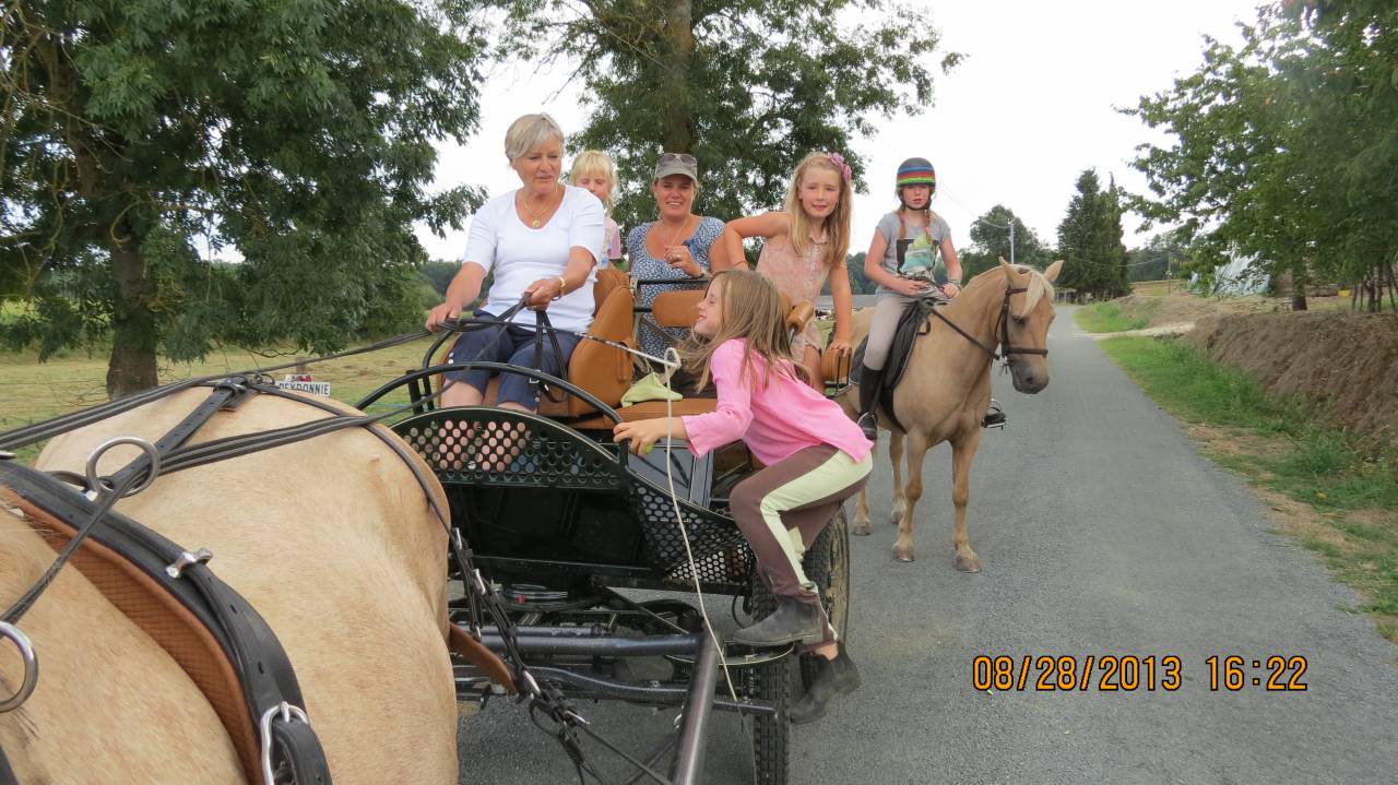 Carriage - Marathon for leisure - Other brand - Patrick Rebulard - Marathon/Loisir 