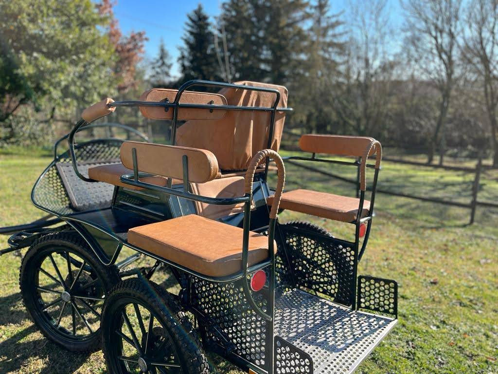 Carriage - Marathon for leisure - Other brand - Patrick Rebulard - Marathon/Loisir 