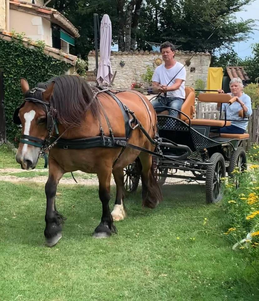 Carriage - Marathon for leisure - Other brand - Patrick Rebulard - Marathon/Loisir 
