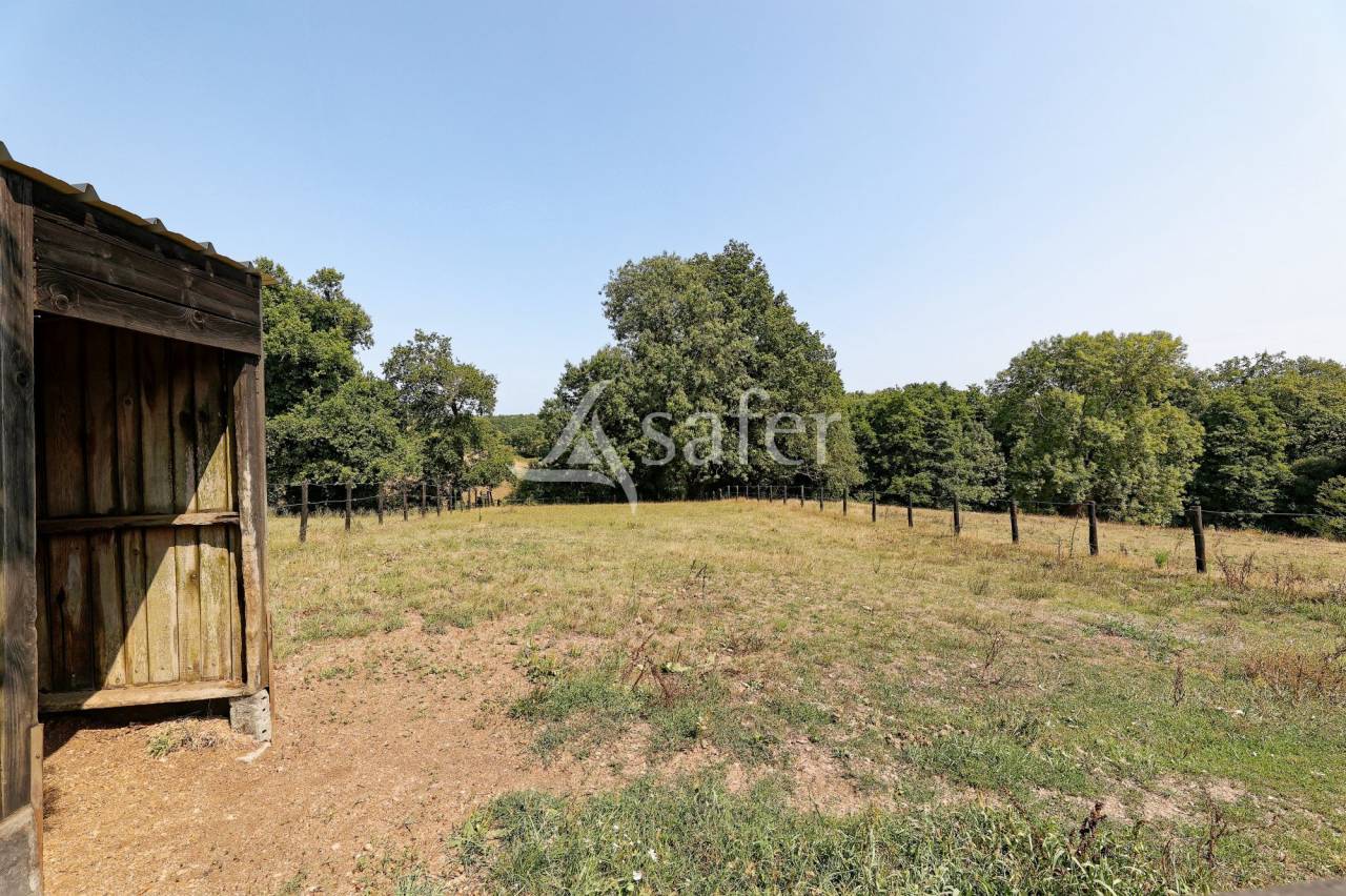Equestrian property  Vend&eacute;e