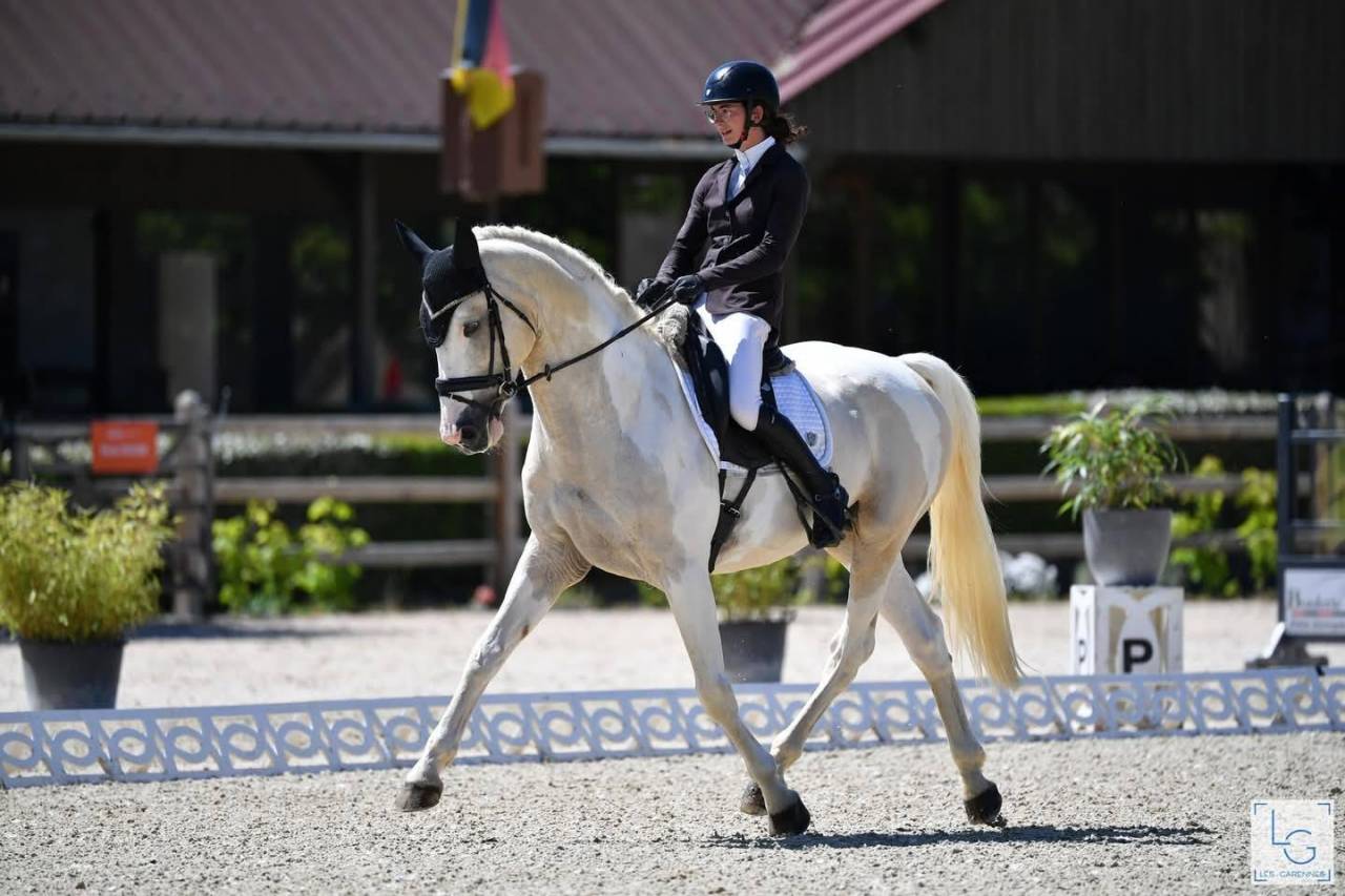 Gadjo Bellonni&egrave;re - Selle Fran&ccedil;ais 2016