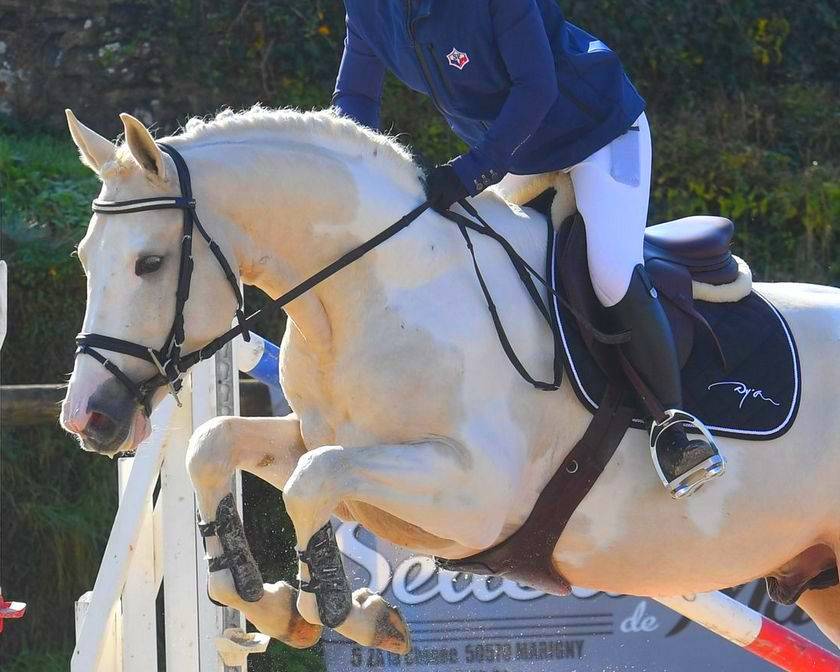 Gadjo Bellonni&egrave;re - Selle Fran&ccedil;ais 2016