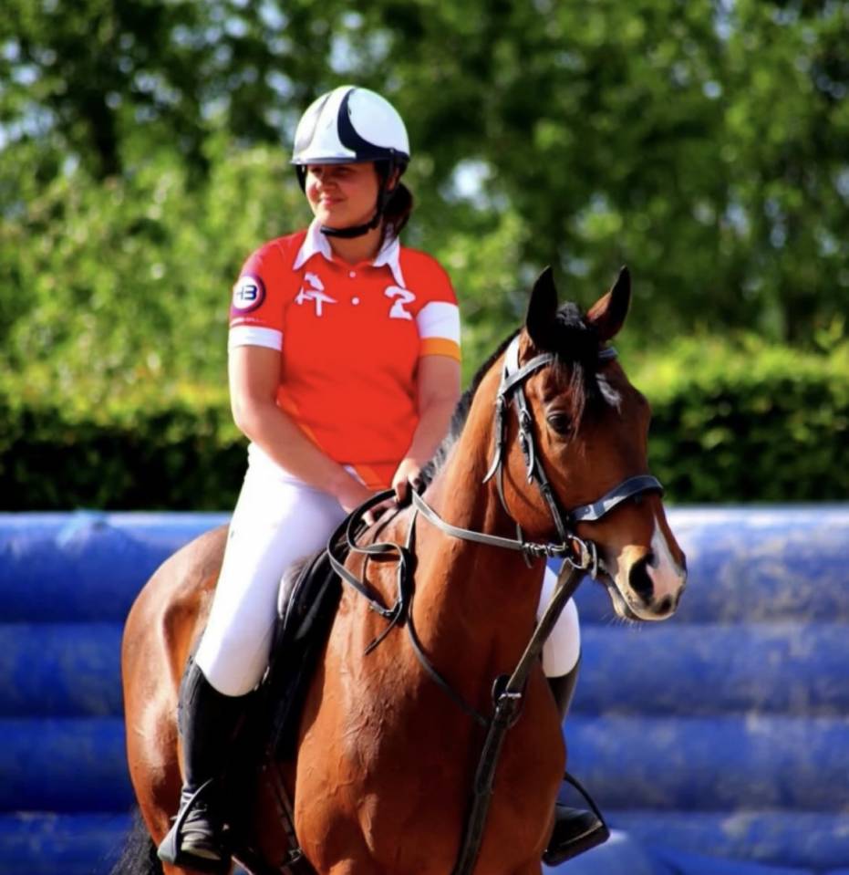 Gelding Thoroughbred For sale 2020 Bay