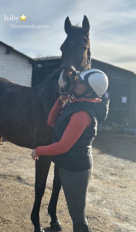 Gelding Thoroughbred For sale 2020 Bay