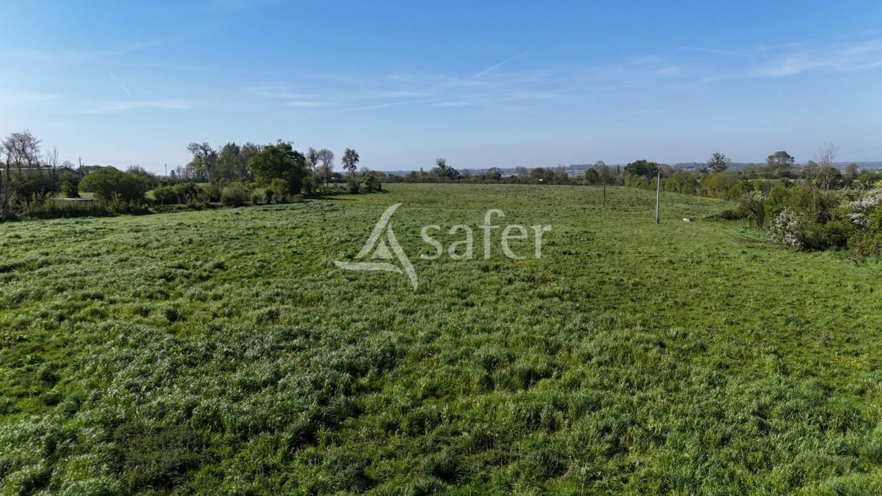 Equestrian property  Manche