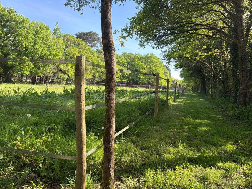 Equestrian property  Loire-Atlantique
