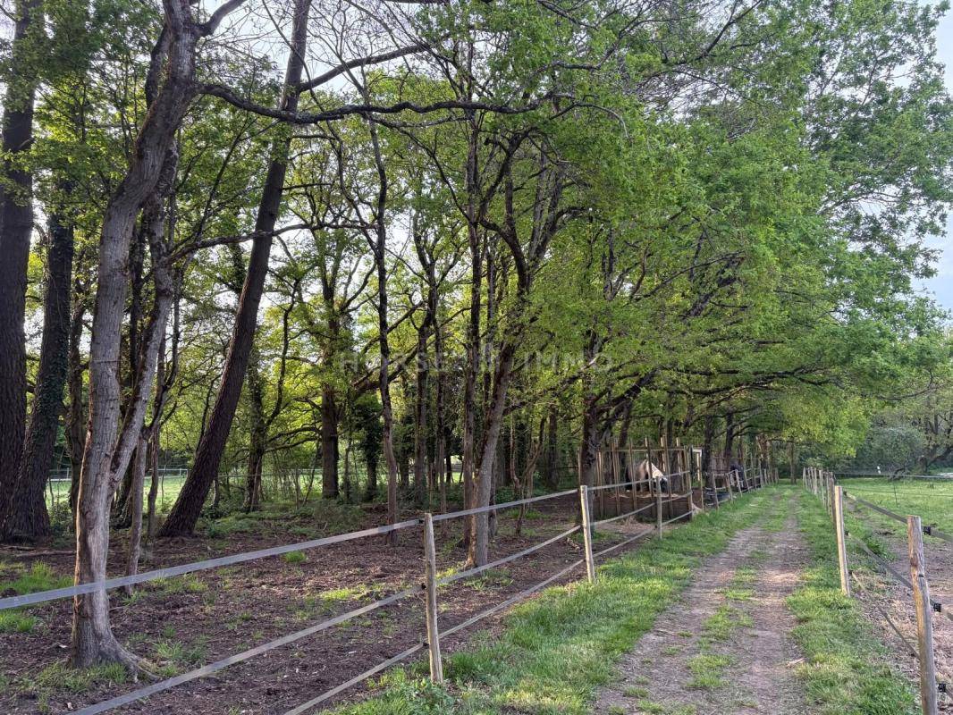 Equestrian property  Loire-Atlantique