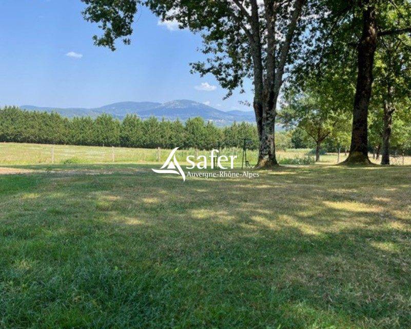 Equestrian property  Puy-de-D&ocirc;me