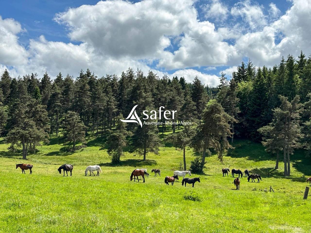 Equestrian property  Haute-Loire