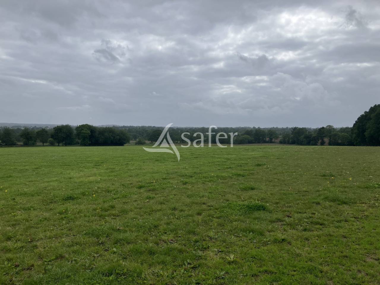 Equestrian property  Mayenne