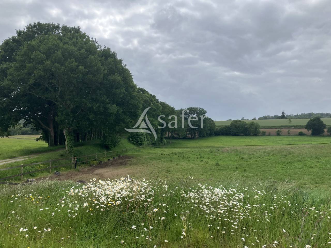 Equestrian property  Mayenne