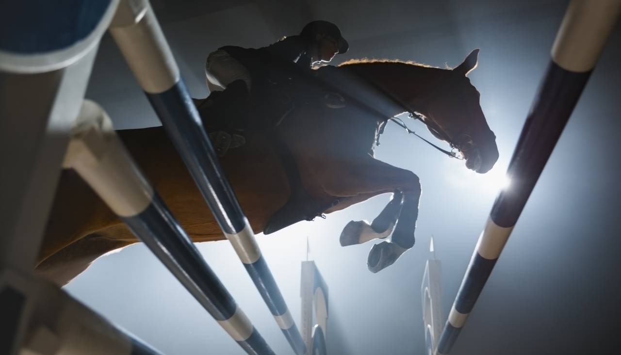 Riding school  Bas-Rhin