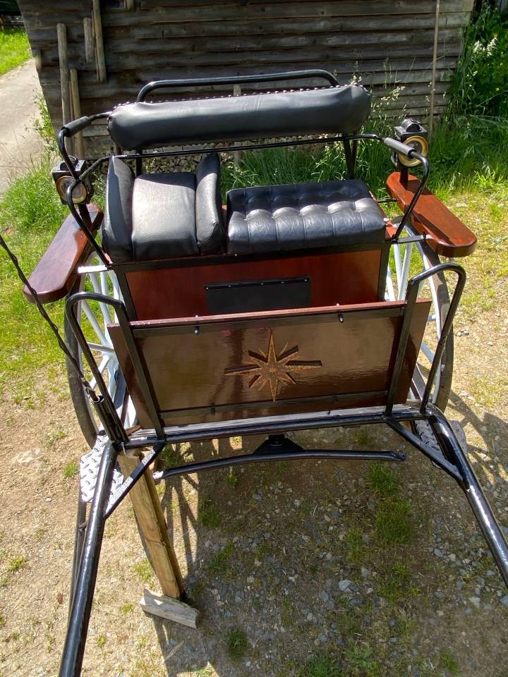 Carriage - Cal&egrave;che   