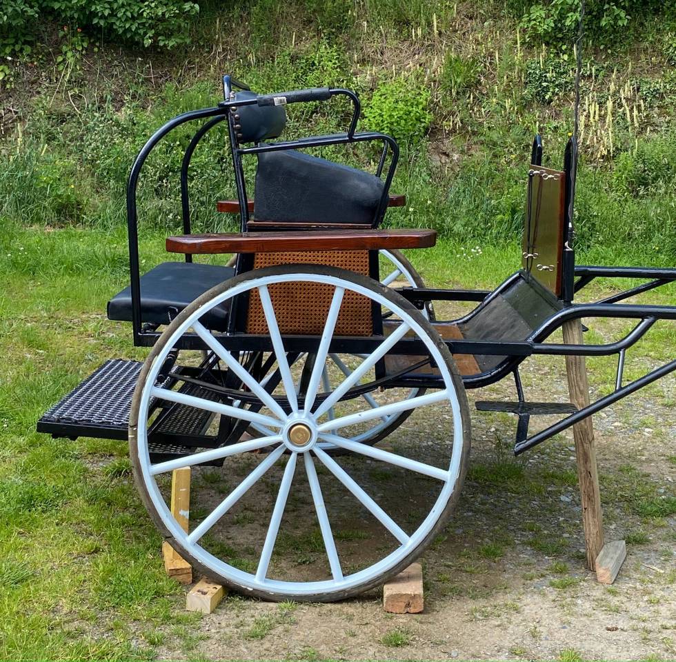 Carriage - Cal&egrave;che   