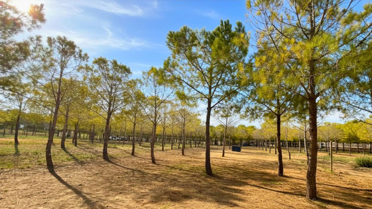Equestrian property  H&eacute;rault