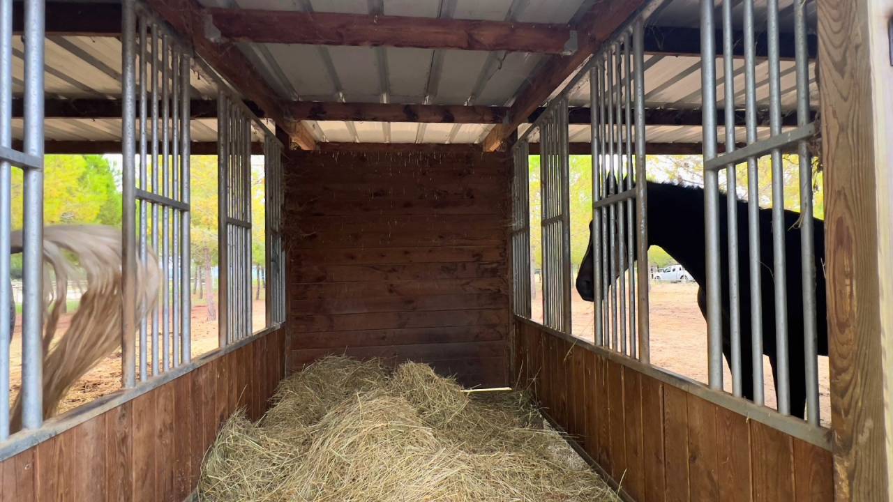 Equestrian property  H&eacute;rault