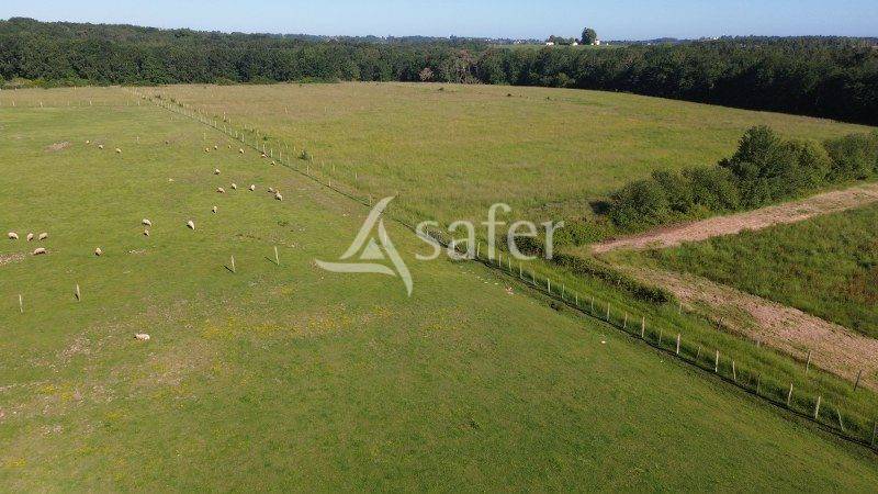 Other agricultural property  Gironde