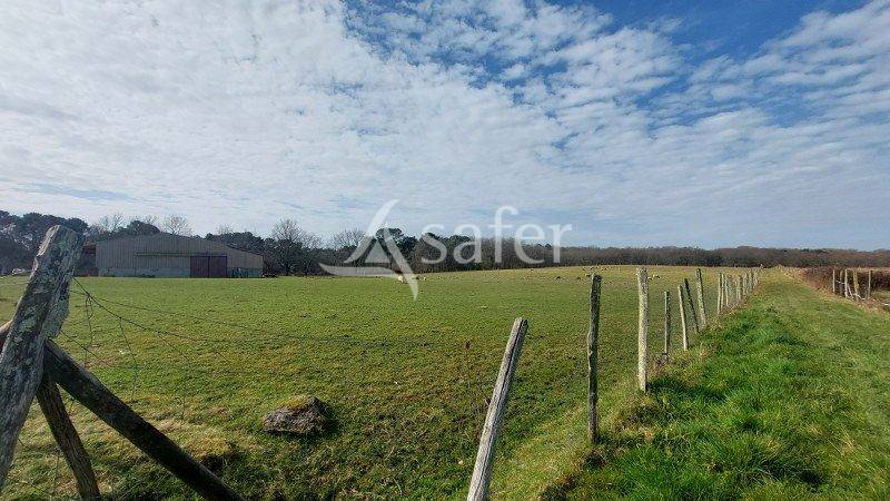 Other agricultural property  Gironde